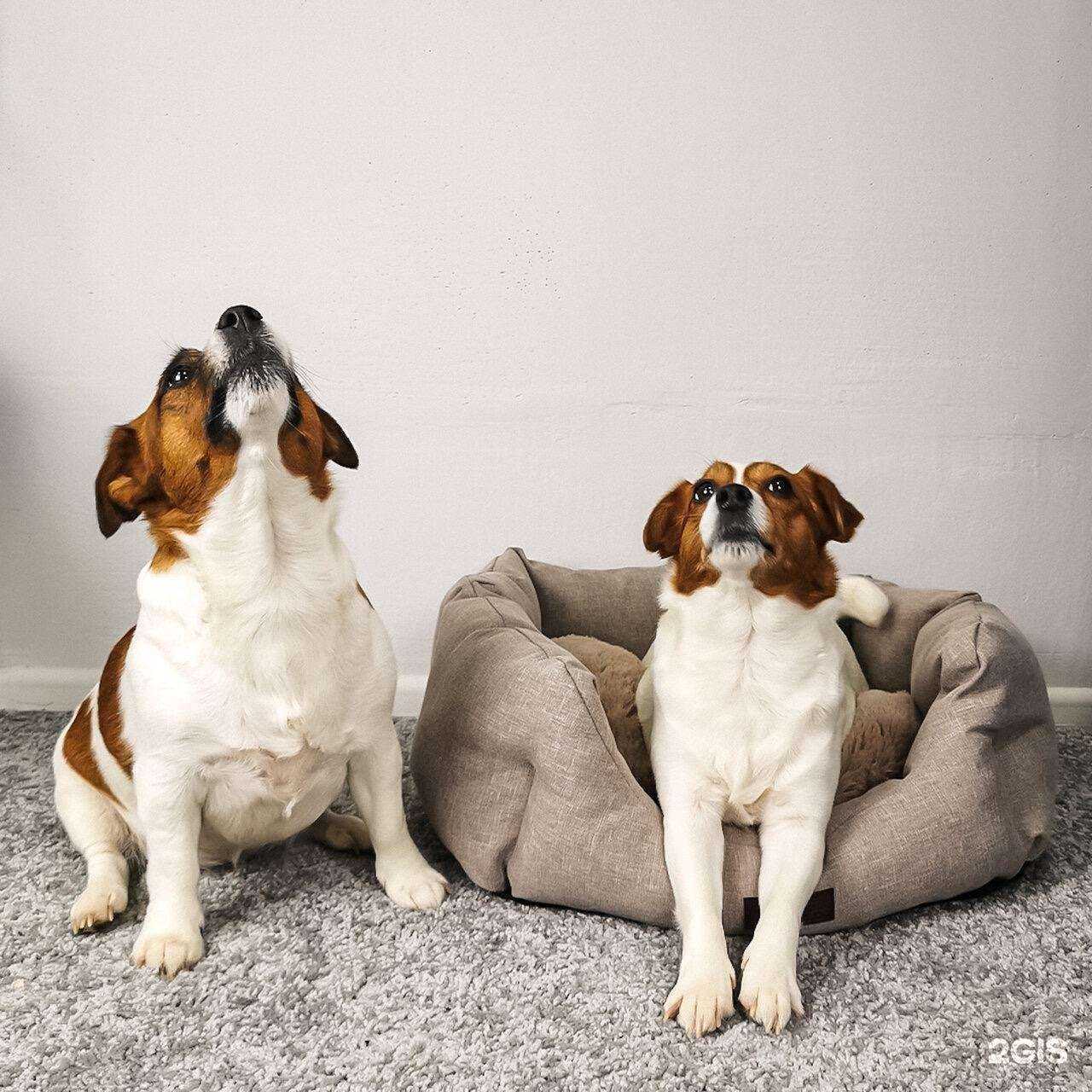 Отзывы на компанию Рыжий хвост в г. Старая Купавна c фото