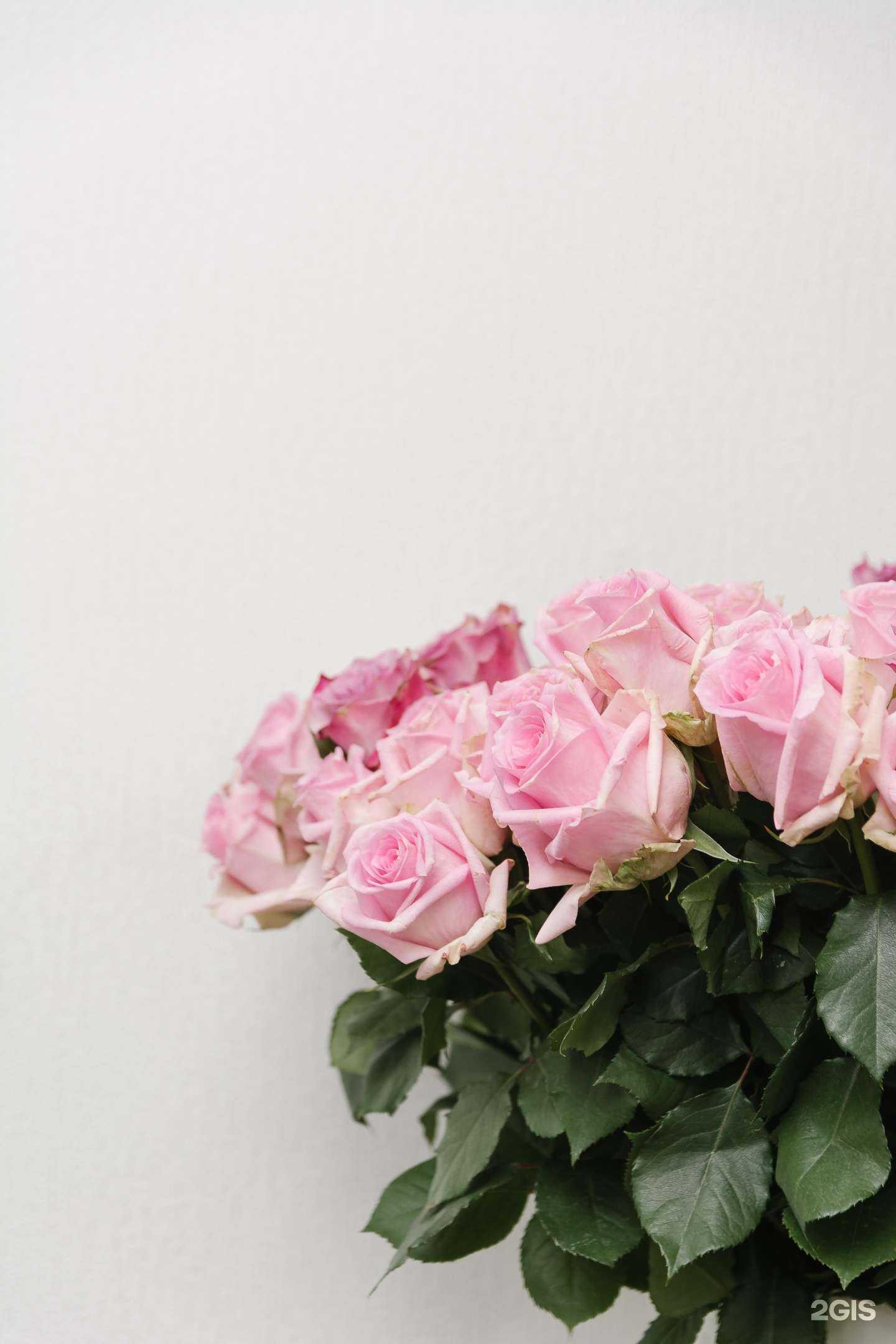 Отзывы на компанию FLOraОПТ в г. Новосибирск c фото