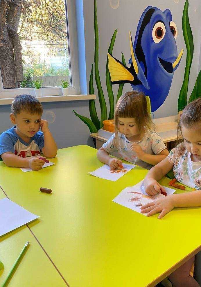 Отзывы на компанию Маленький Энштейн в г. Сочи c фото