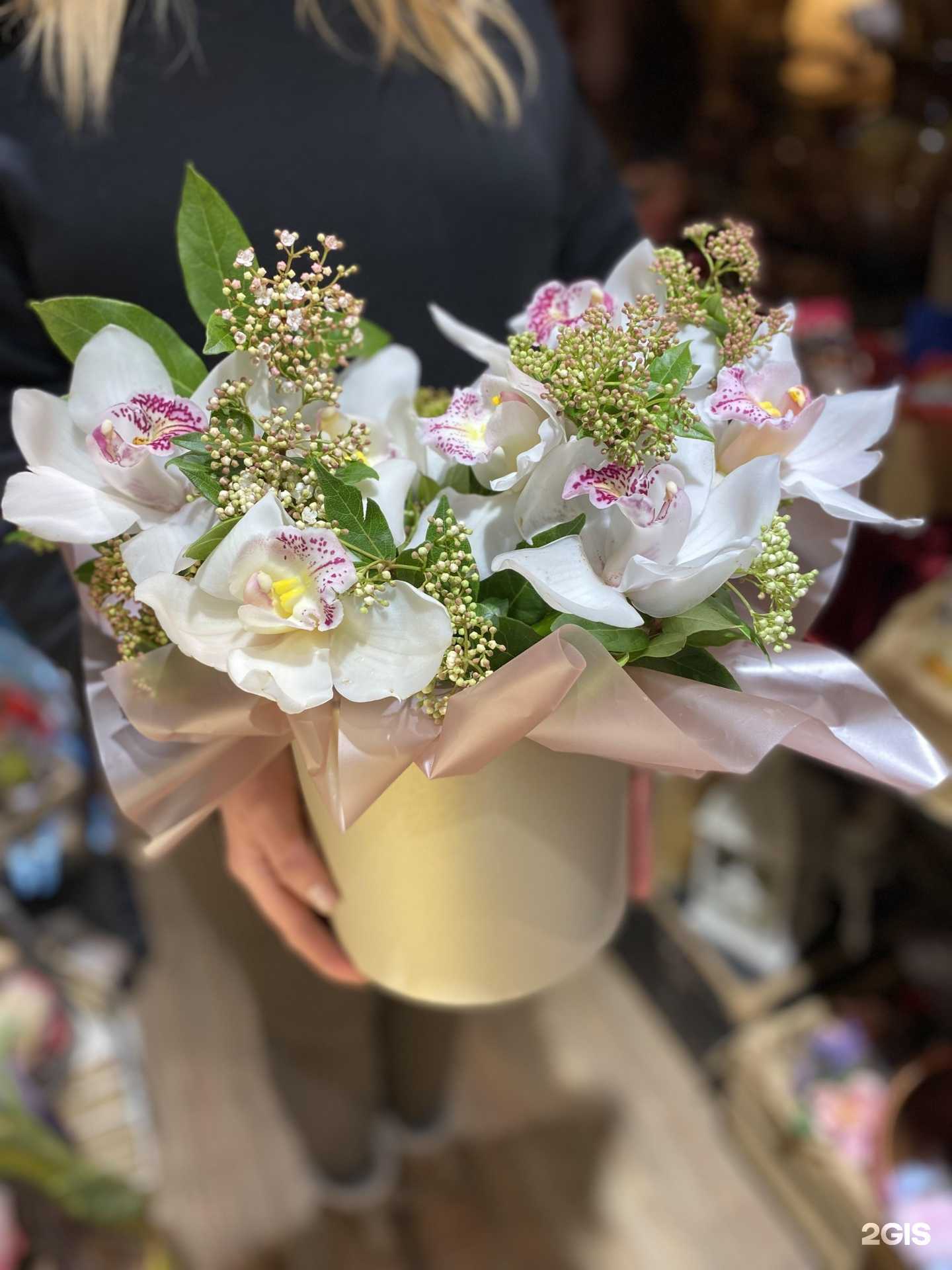 Отзывы на компанию Lemon в г. Краснодар c фото