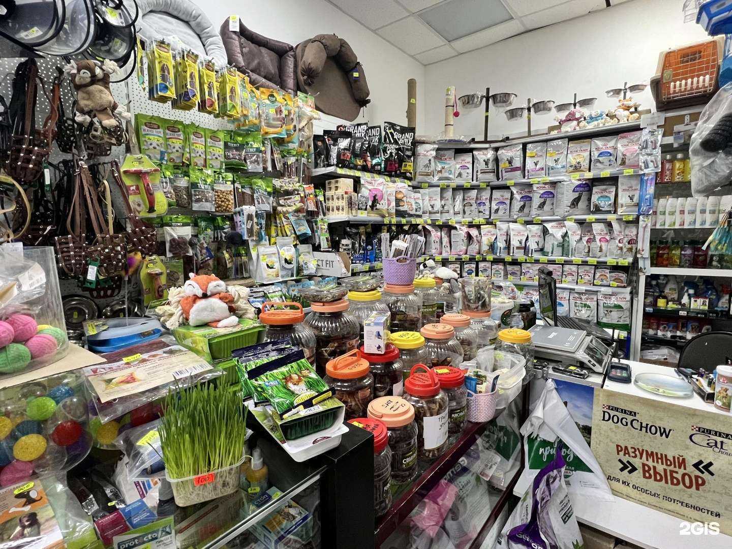 Отзывы на компанию Зоомир в Сосновоборске c фото