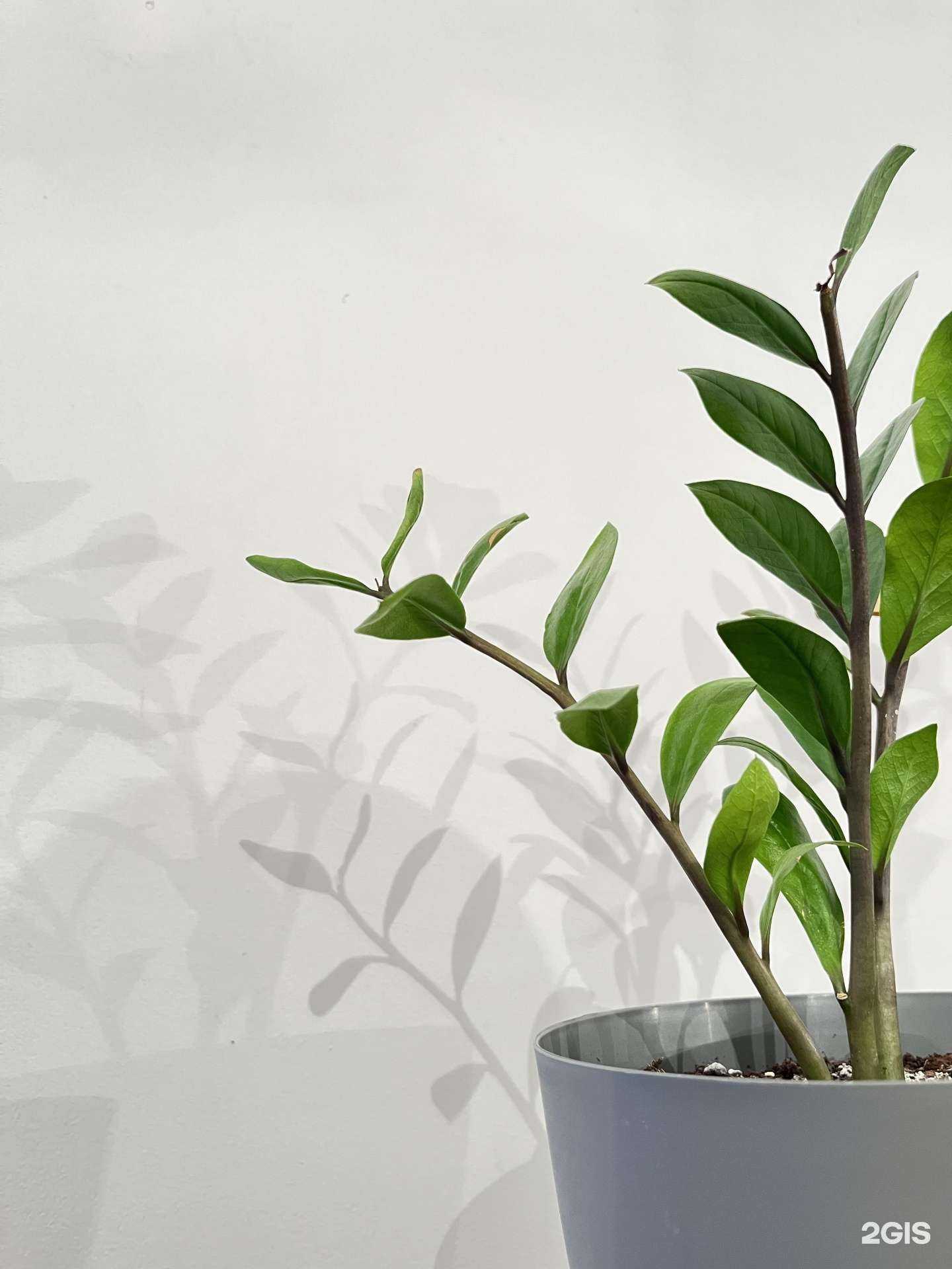 Отзывы на компанию Лаборатория души в Тюмени c фото