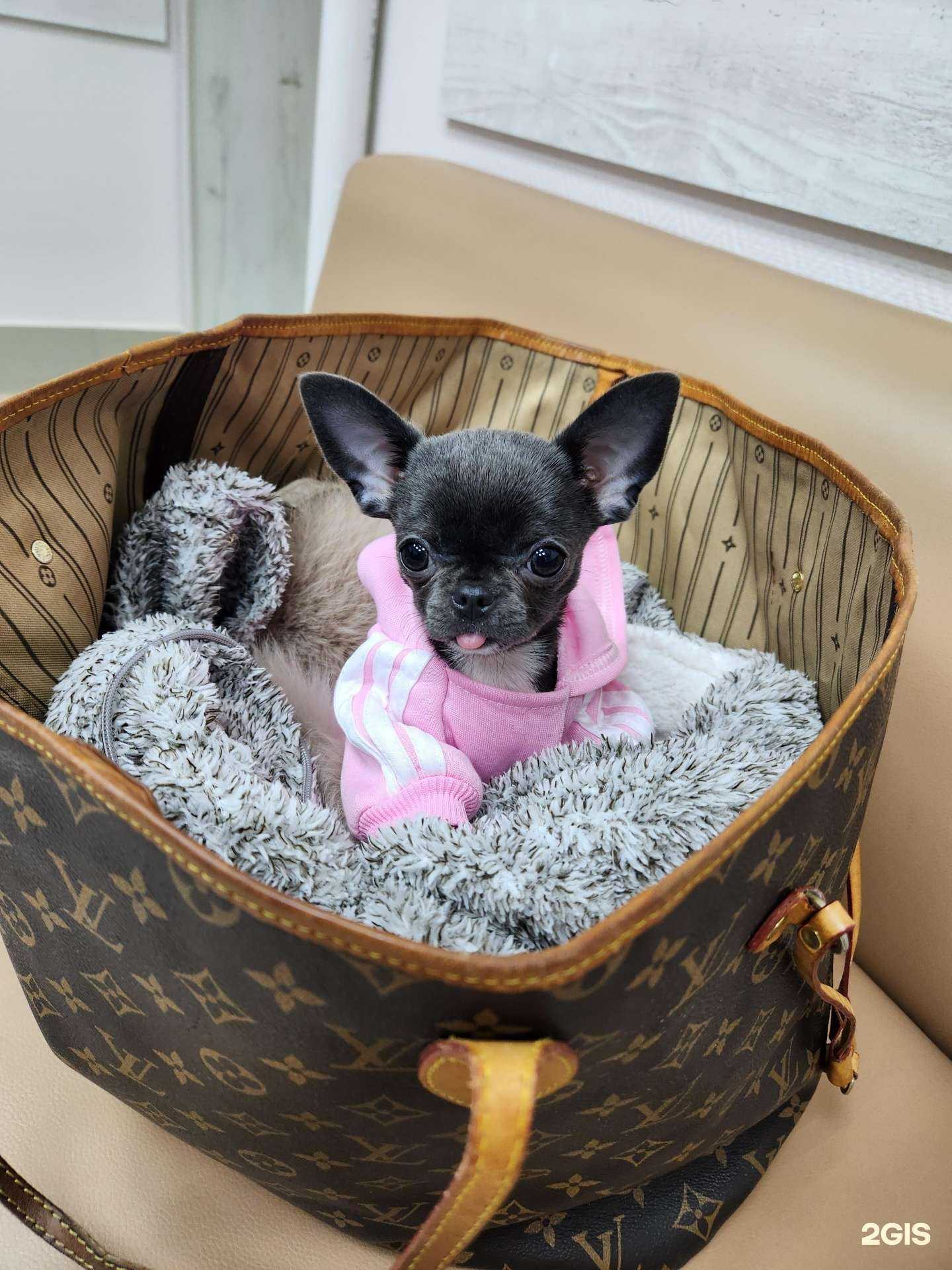 Отзывы на компанию Ижевская Государственная станция по борьбе с болезнями животных в Ижевске c фото