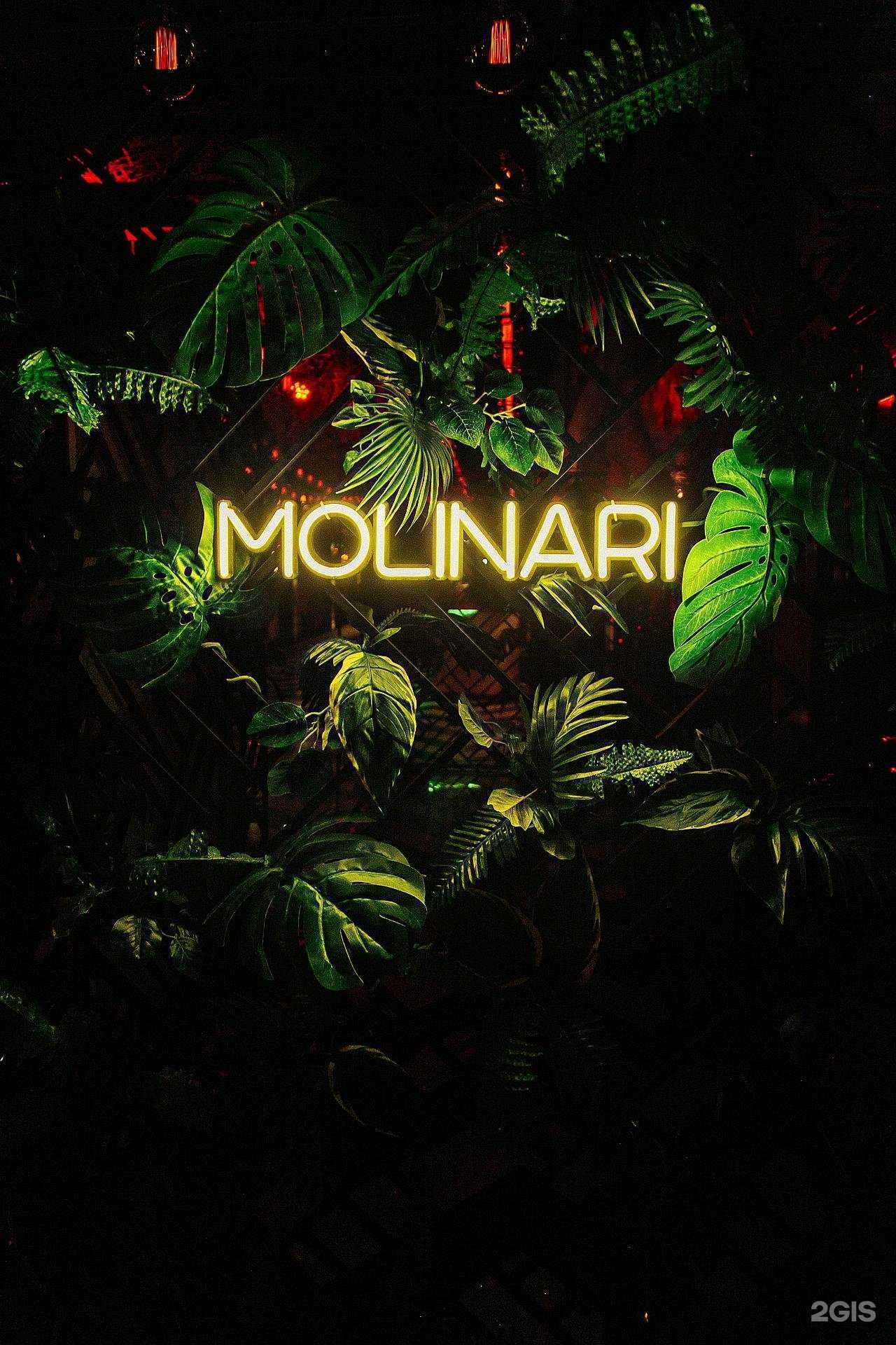 Отзывы на компанию Molinari в г. Ставрополь c фото