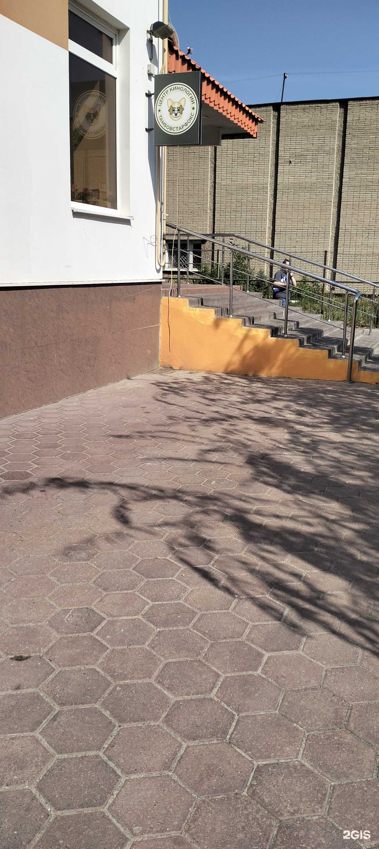 Отзывы на компанию Тамбовстарфокс  в Тамбове c фото