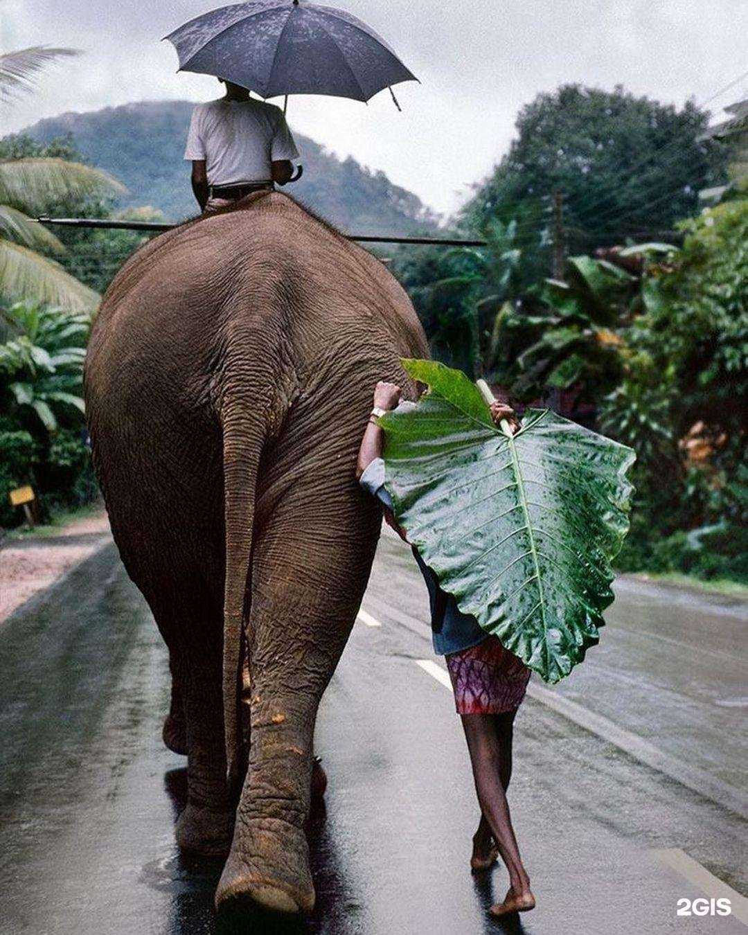 Отзывы на компанию Алюстар тур в Белгороде c фото