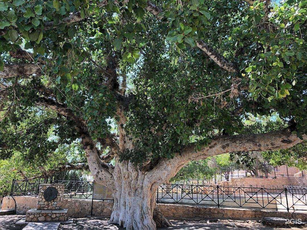 Отзывы на компанию Древо Жизни, пункт выдачи в г. Железногорск c фото