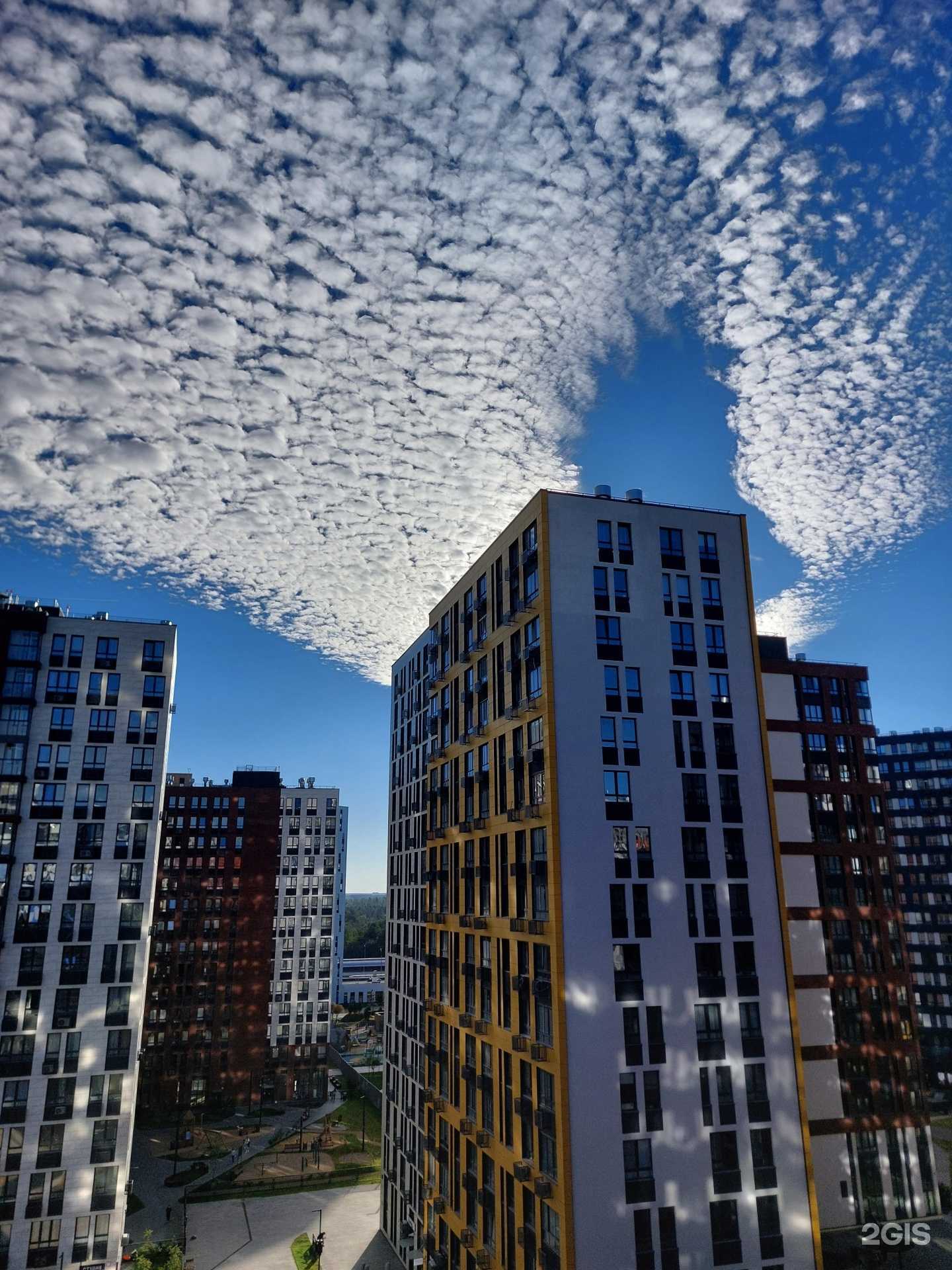 Отзывы на компанию Beauty X в Коммунарке c фото - фотография 2 из 2