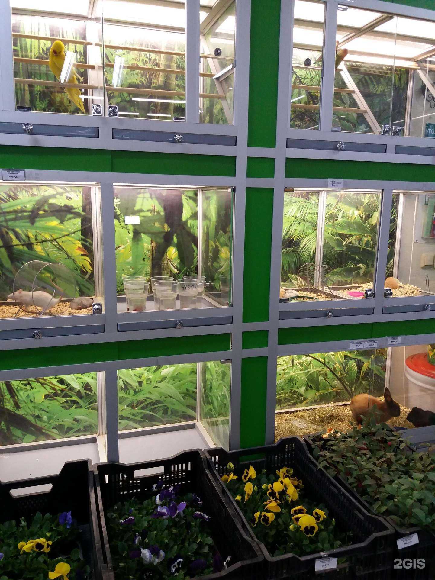 Отзывы на компанию Грядка в Брянске c фото