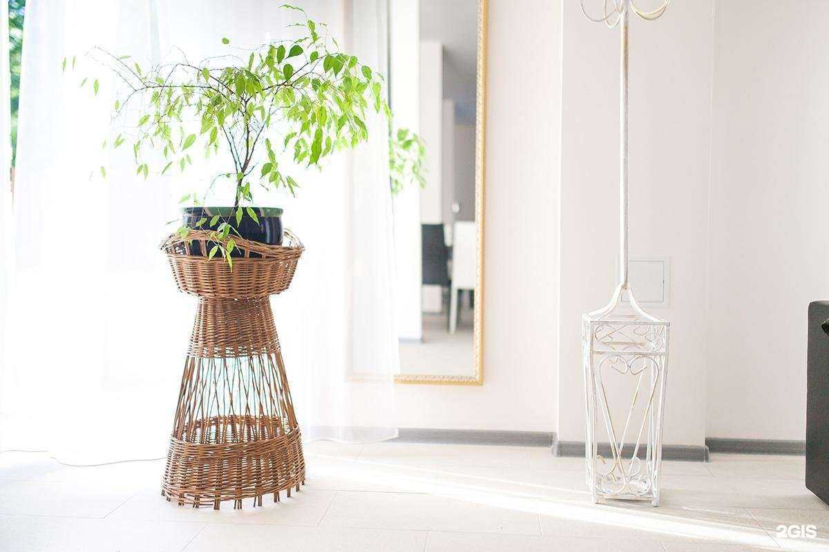 Отзывы на компанию Зелёный дом в Светлогорске c фото