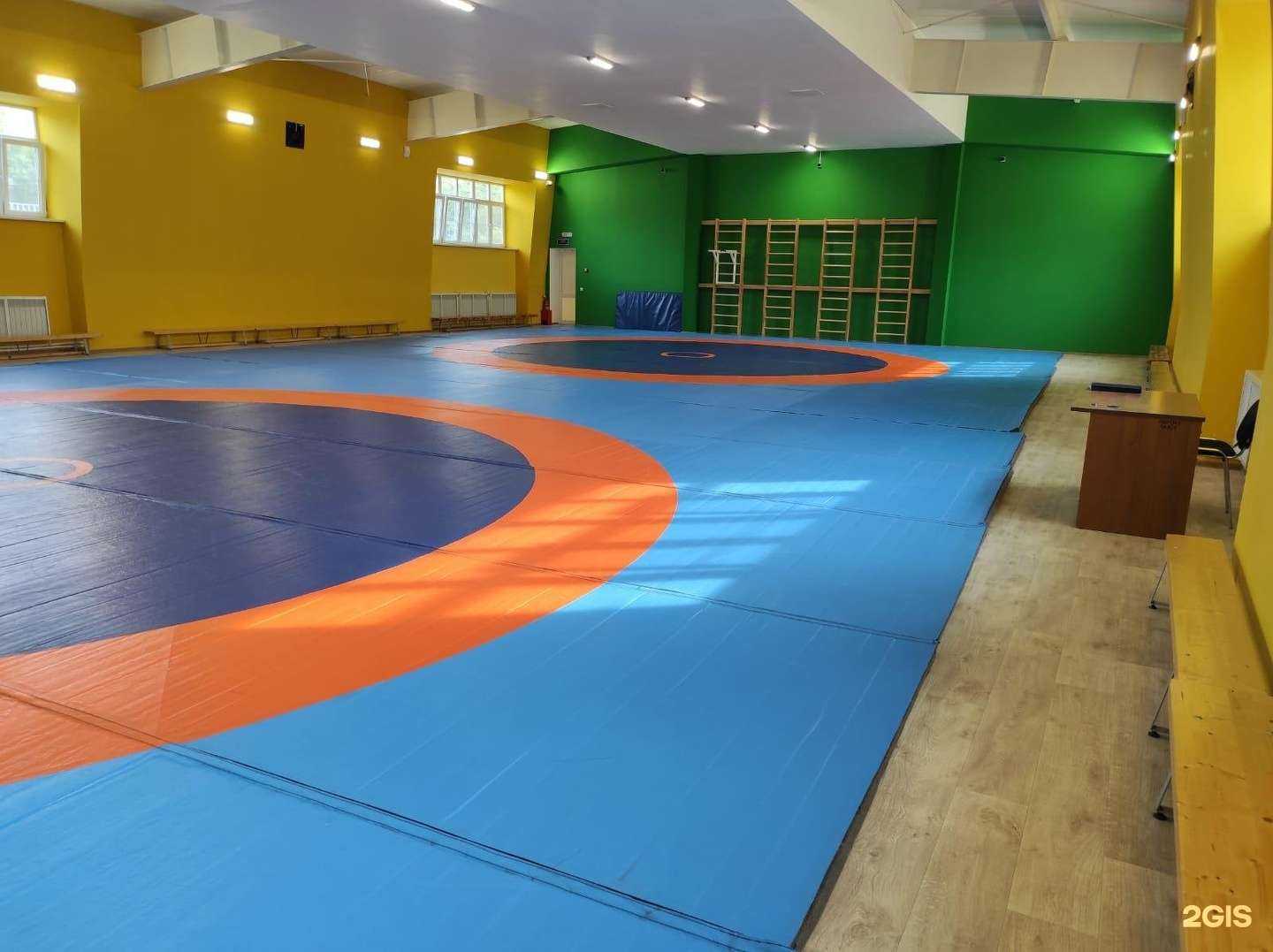 Отзывы на компанию СШОР №10 в Воронеже c фото