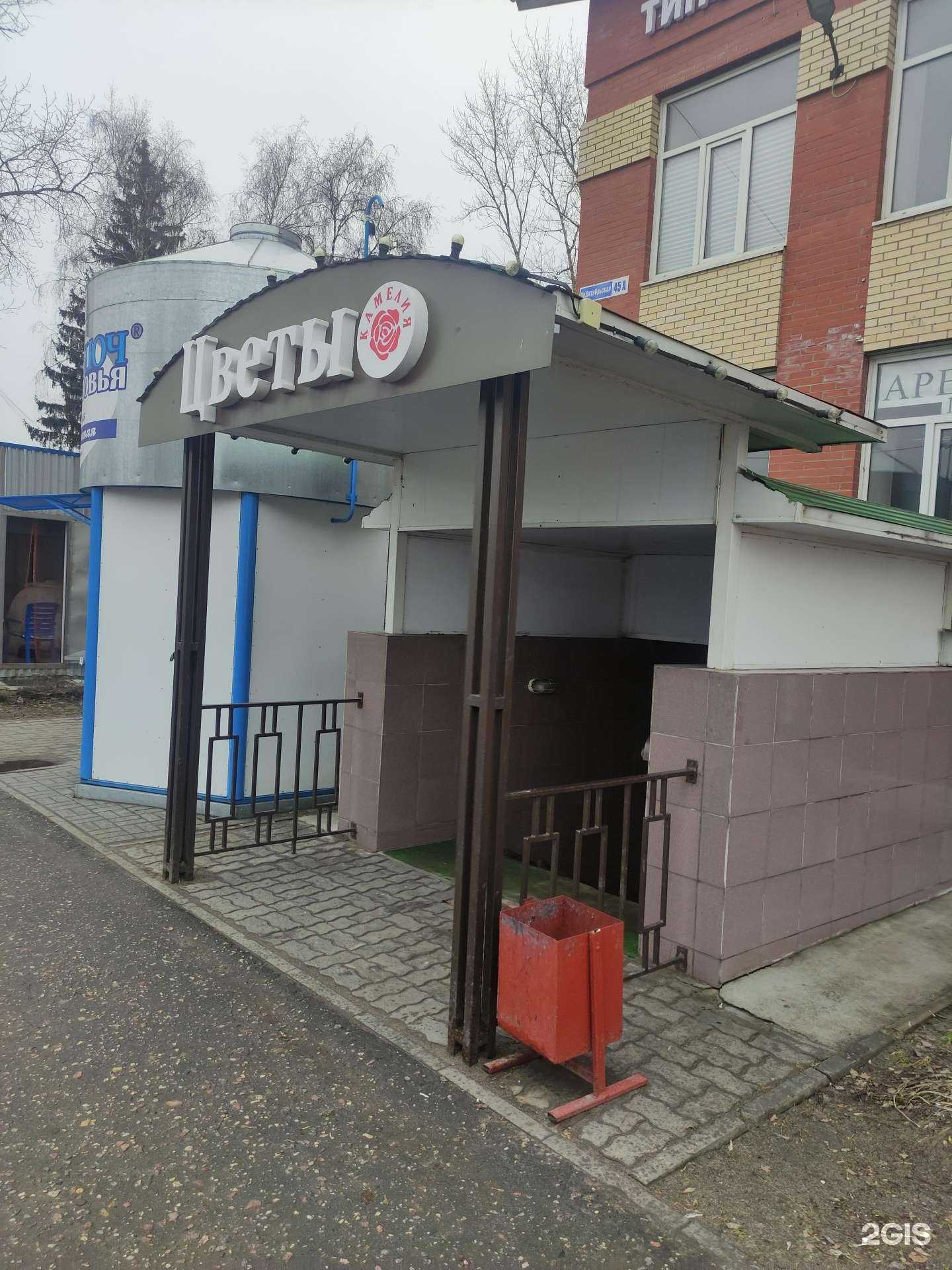 Отзывы на компанию Камелия в г. Коломна c фото