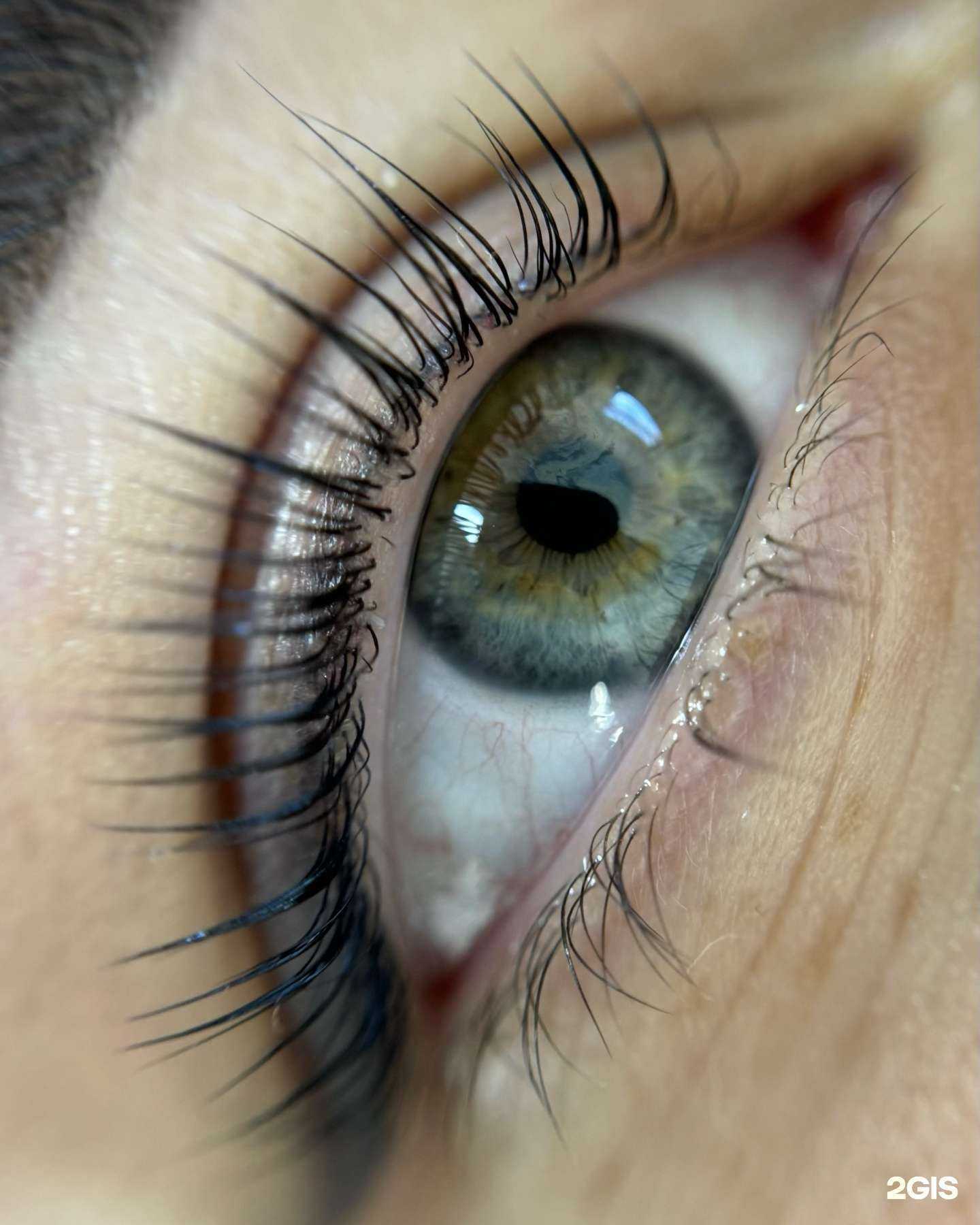 Отзывы на компанию Adore в Владивостоке c фото