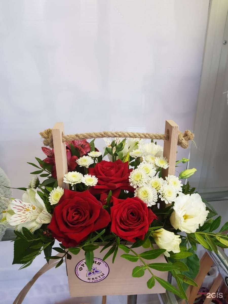 Отзывы на компанию Фрезия в г. Магнитогорск c фото