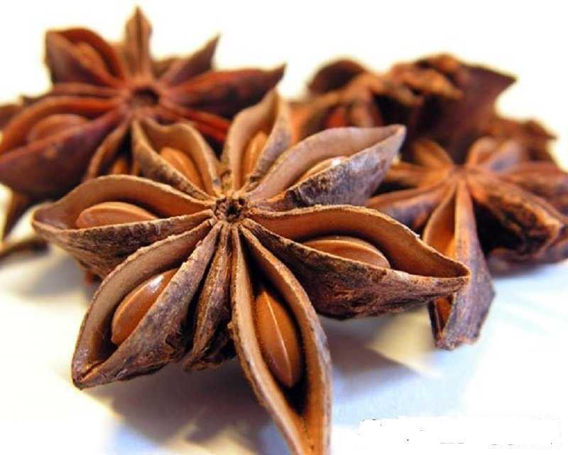 Отзывы на компанию Двинской Бутлегер в Архангельске c фото