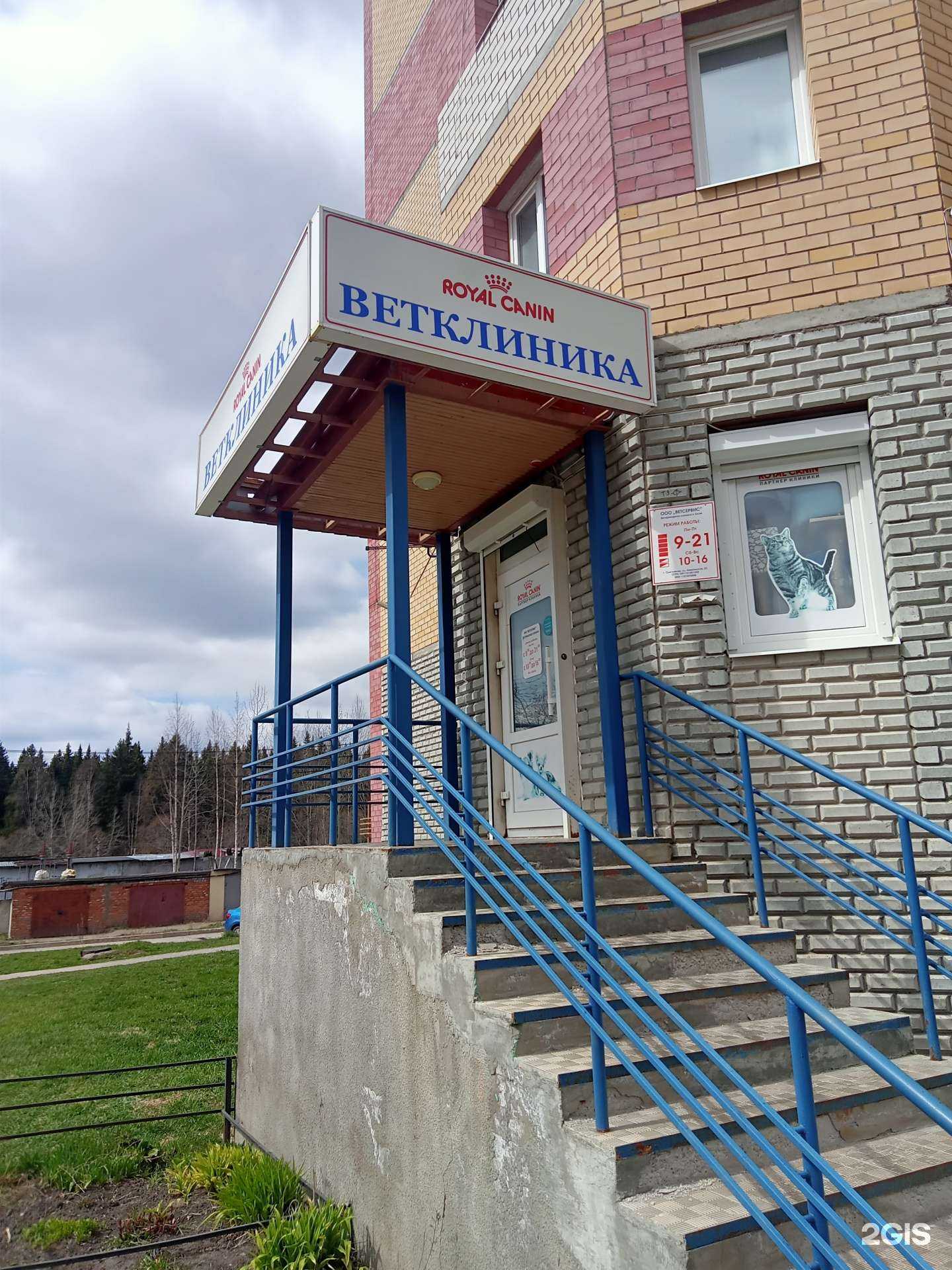 Отзывы на компанию Ветсервис в г. Сыктывкар c фото