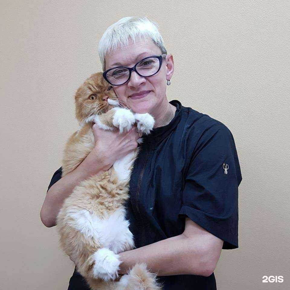 Отзывы на компанию Кабинет грумера Арины Добрыниной в Кемерове c фото