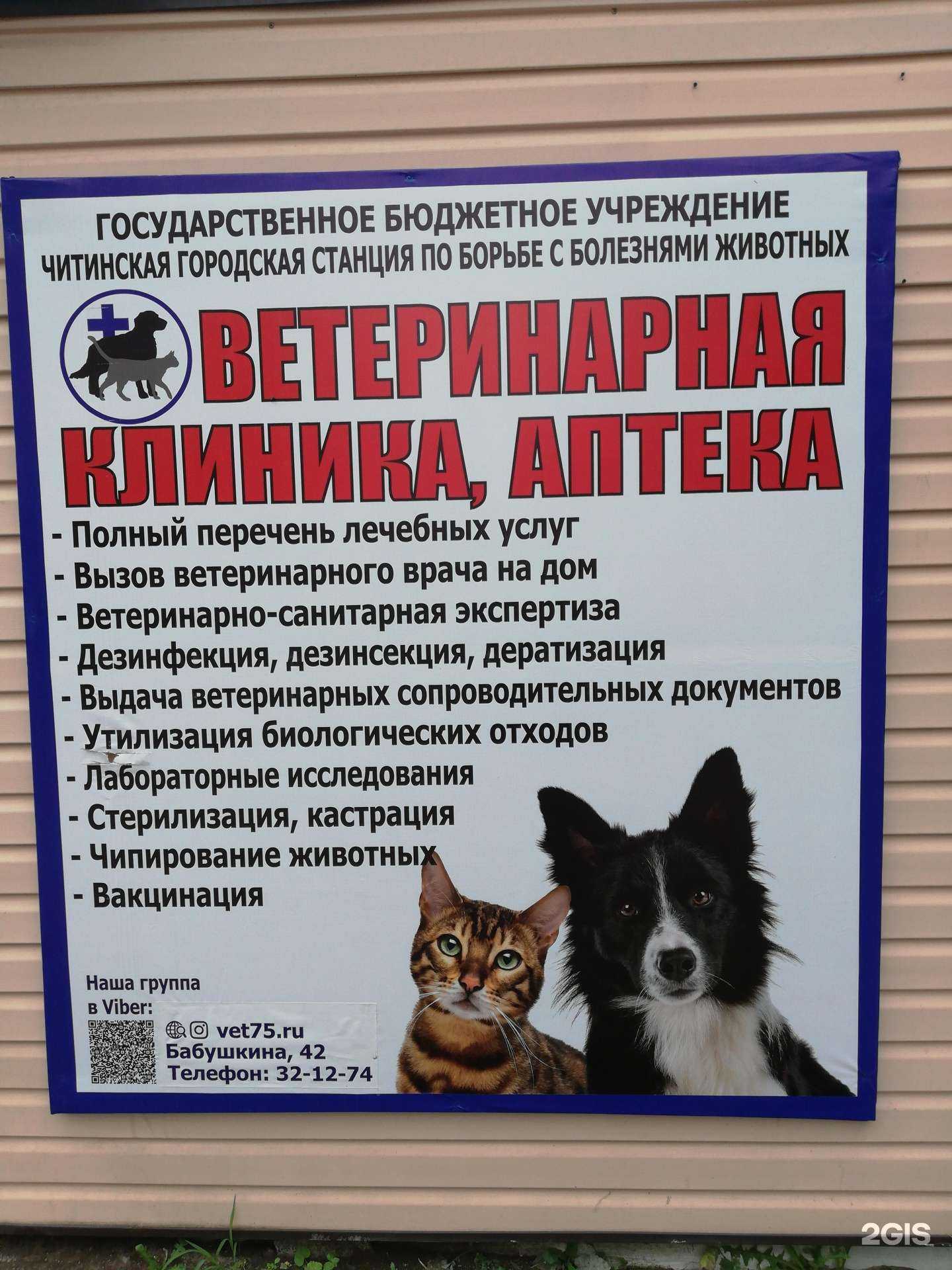 Отзывы на компанию Читинская городская станция по борьбе с болезнями животных в г. Чита c фото