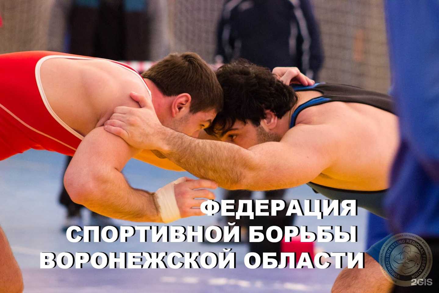Отзывы на компанию Федерация спортивной борьбы Воронежской области в Воронеже c фото
