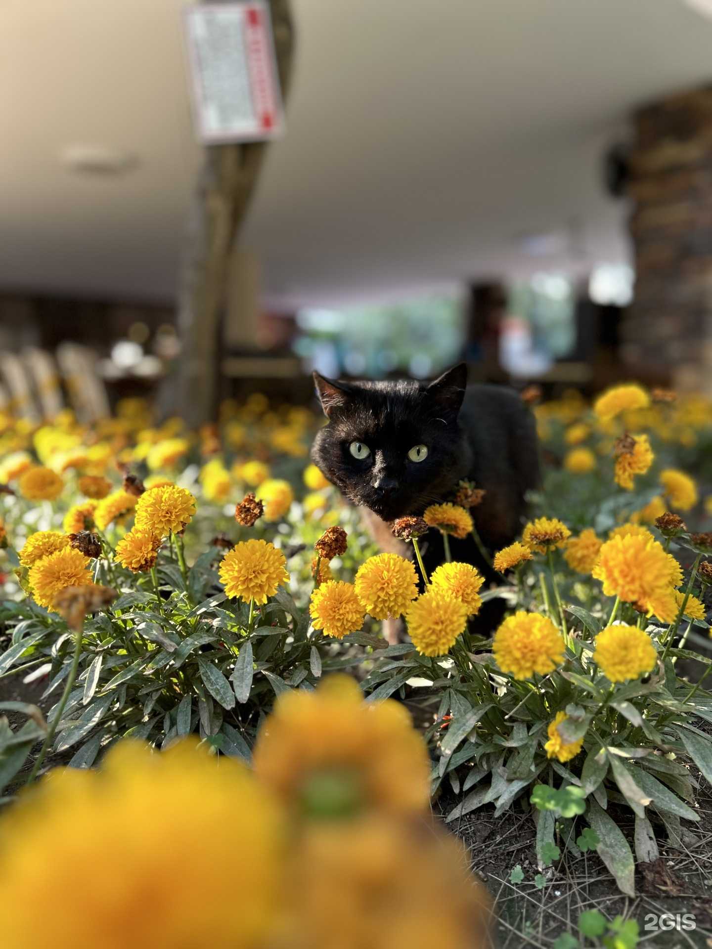 Отзывы на компанию Kotova Tour в г. Рязань c фото