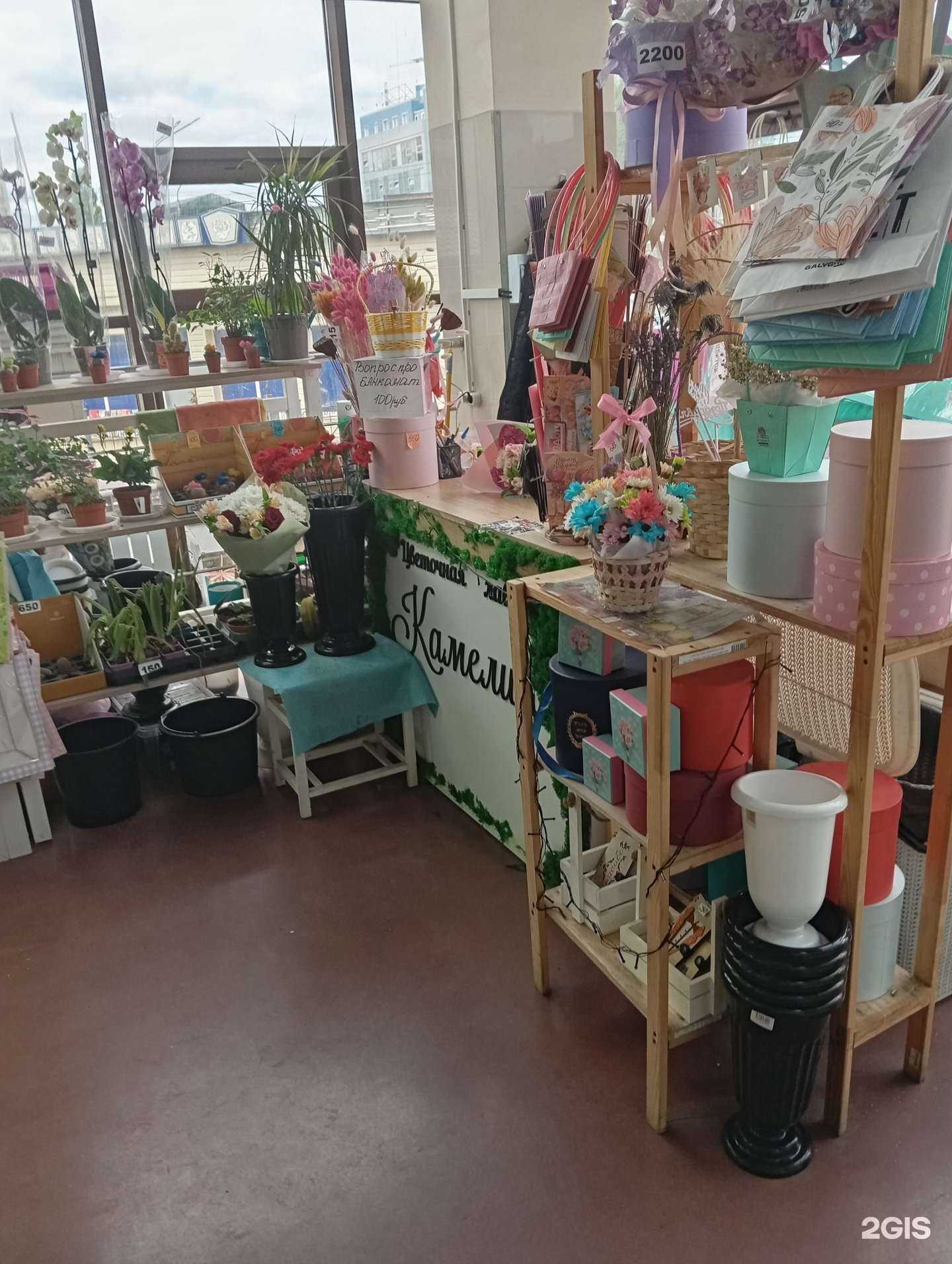 Отзывы на компанию Камелия в Воронеже c фото