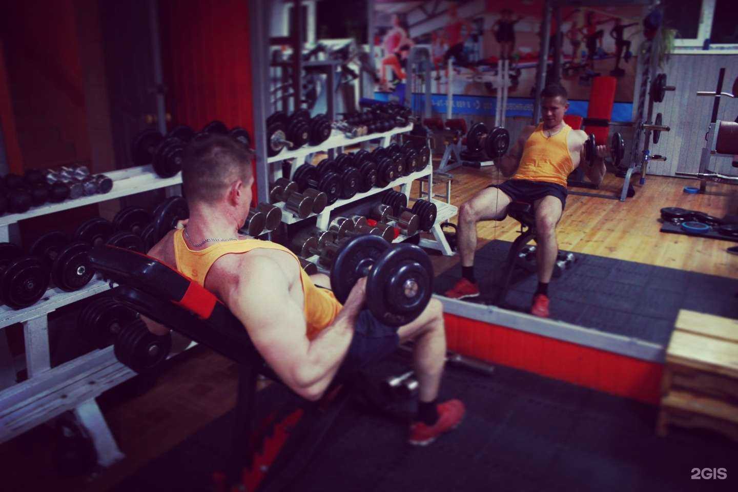 Отзывы на компанию Феникс в Анапе c фото