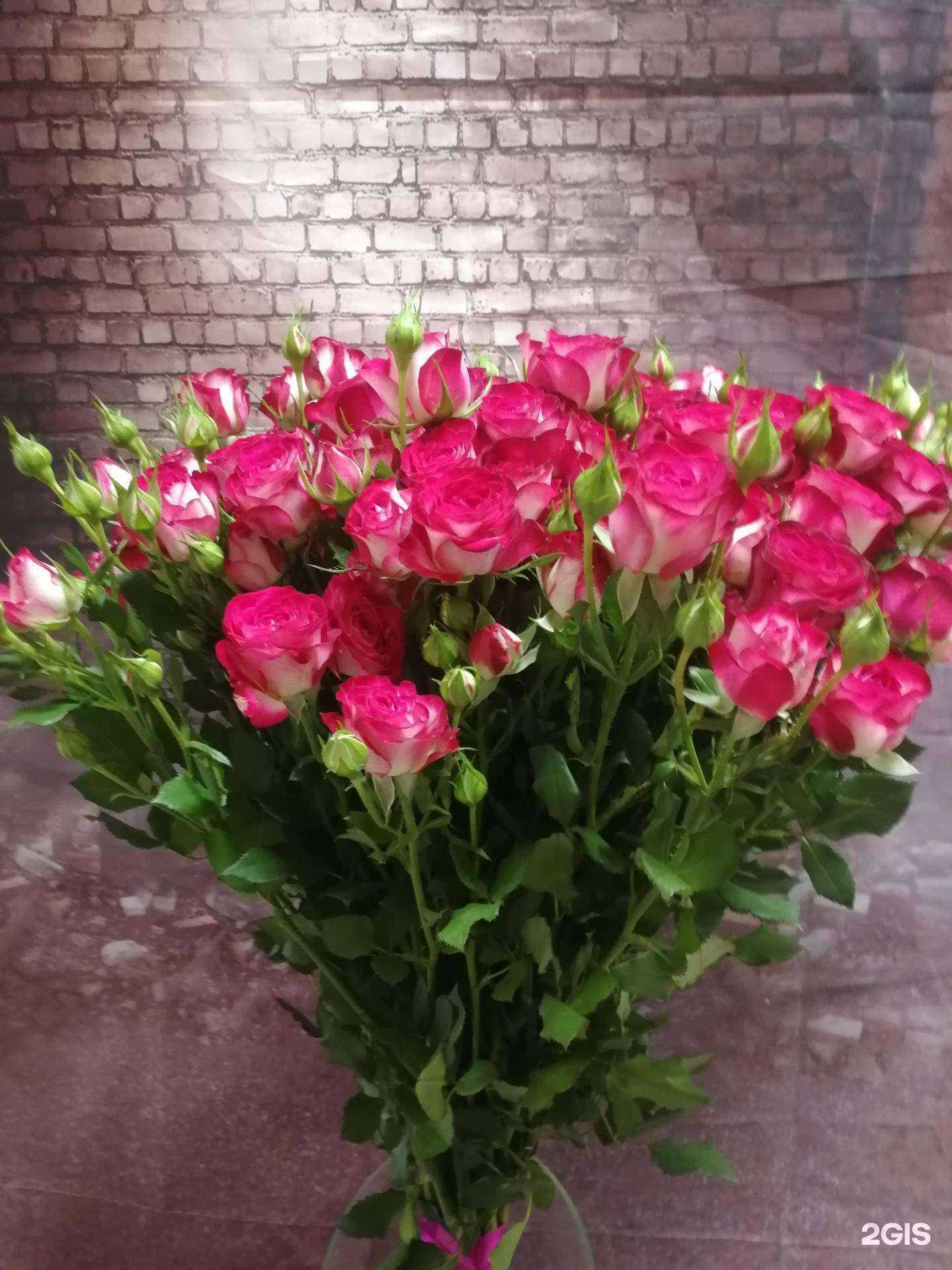 Отзывы на компанию Галина, цветочная лавка в Александрове c фото