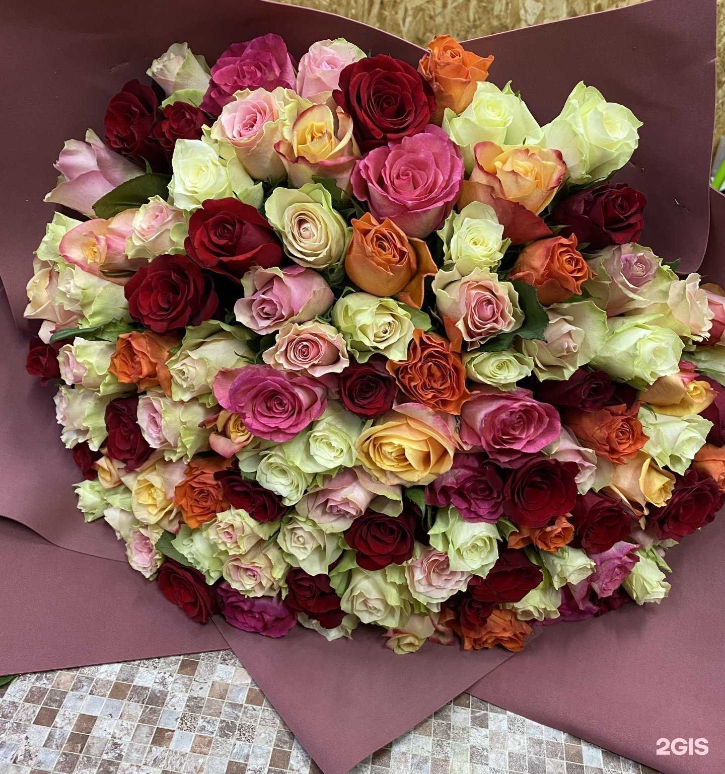 Отзывы на компанию Анфиса в г. Елабуга c фото