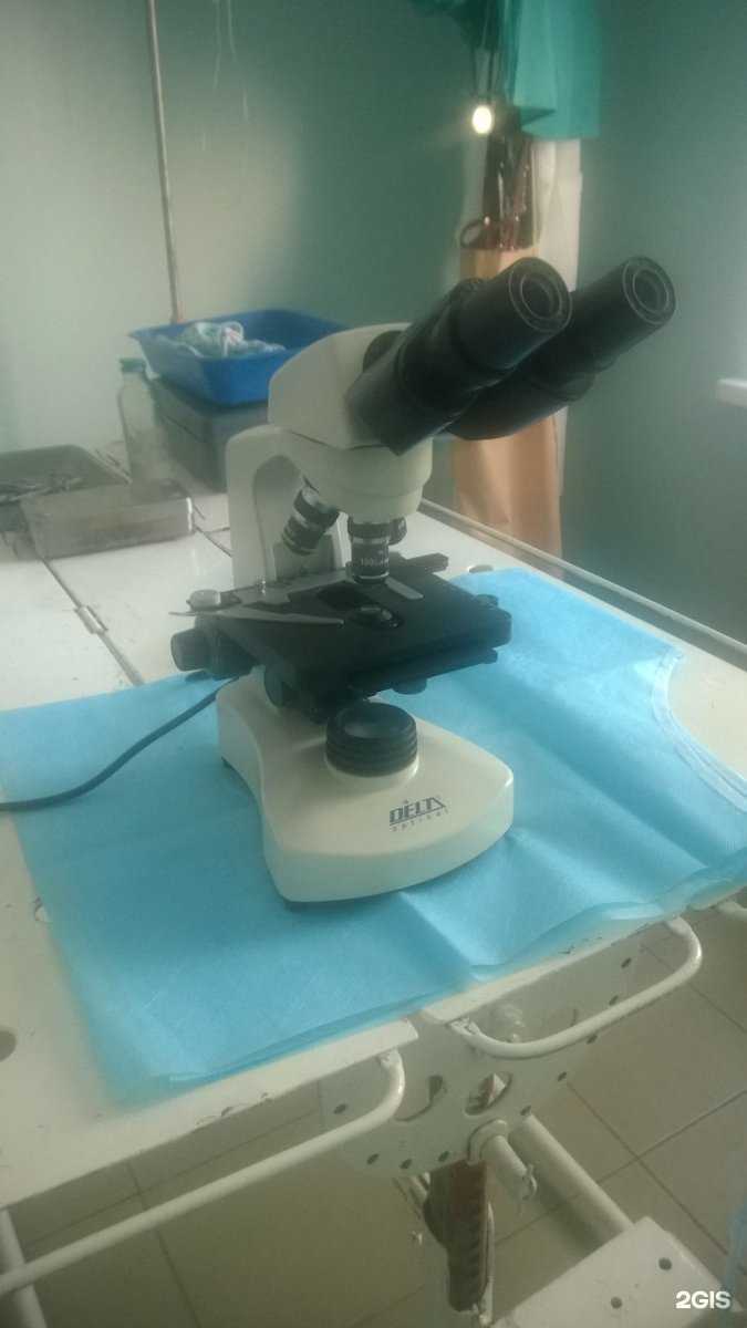 Отзывы на компанию Ветерра в Магнитогорске c фото