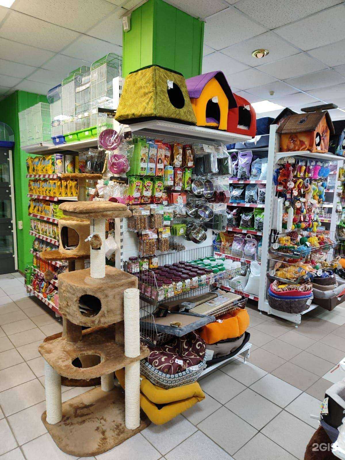 Отзывы на компанию Zooмирово в Заринске c фото