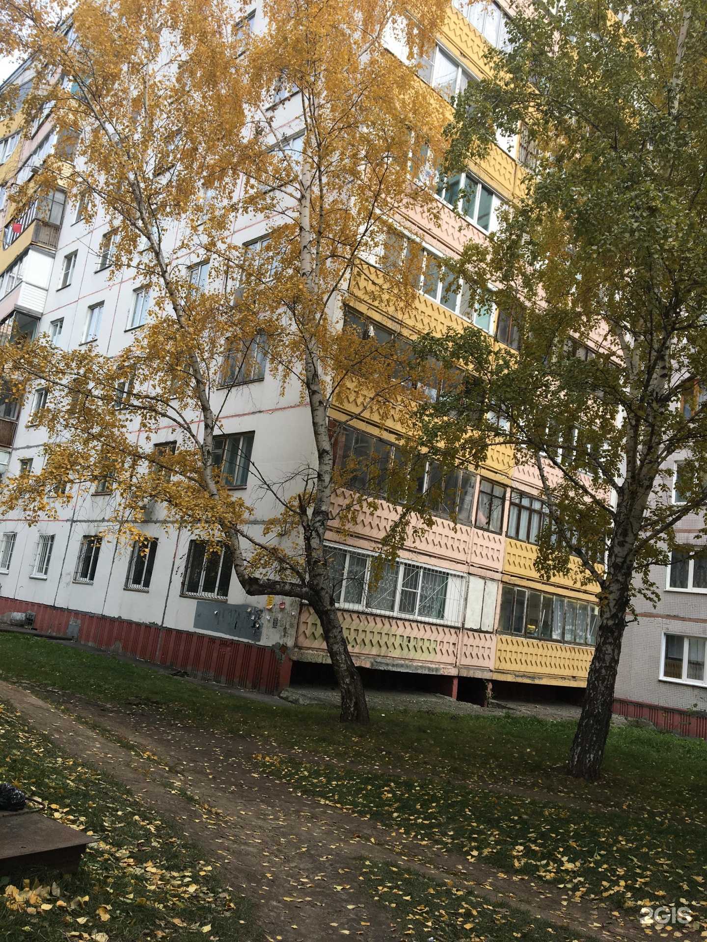 Отзывы на компанию Традиция в Барнауле c фото - фотография 2 из 2