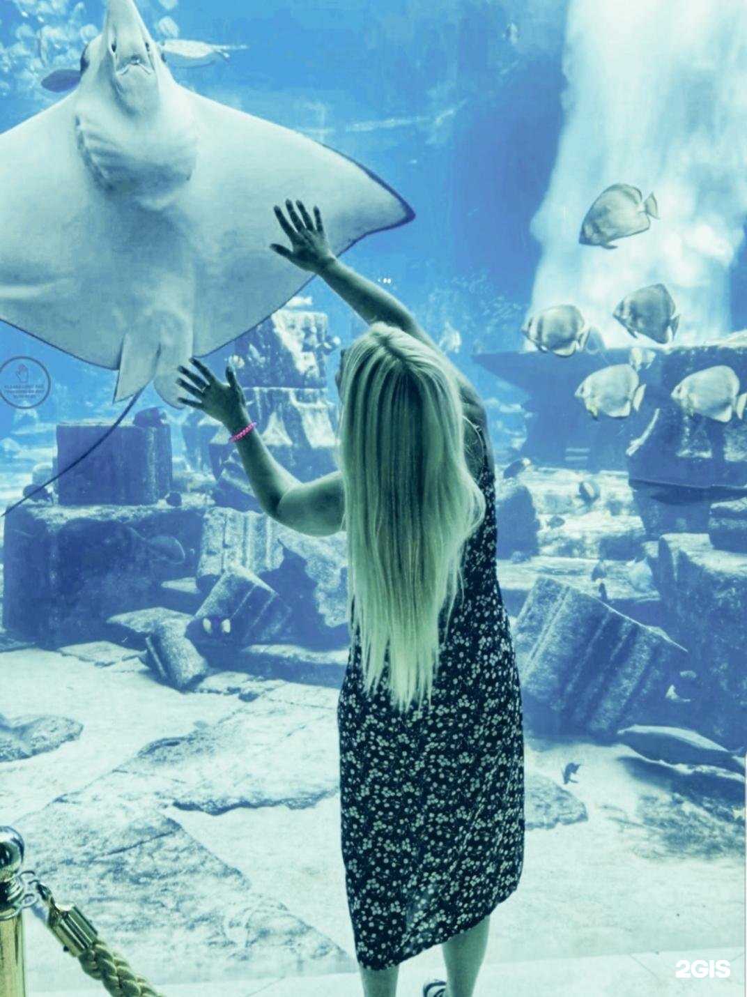 Отзывы на компанию Ml Travel в Уфе c фото