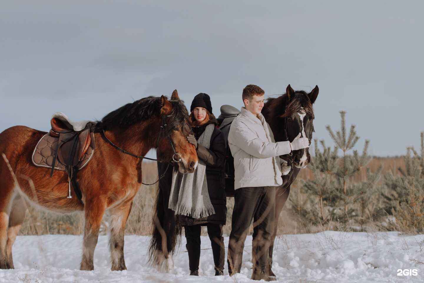Отзывы на компанию Конный двор в г. Липецк c фото