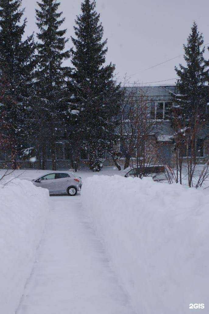 Отзывы на компанию Кедровая Делянка в Новосибирске c фото - фотография 2 из 2