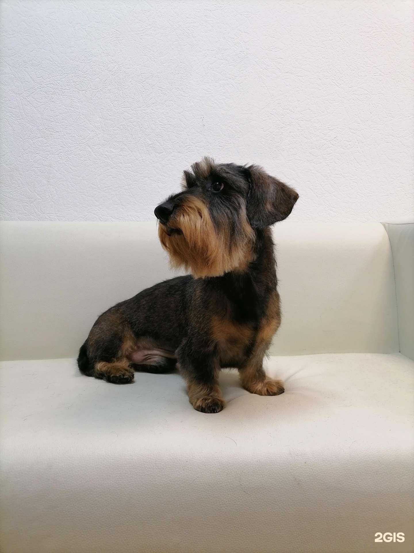 Отзывы на компанию Rafa Style в Чебоксарах c фото