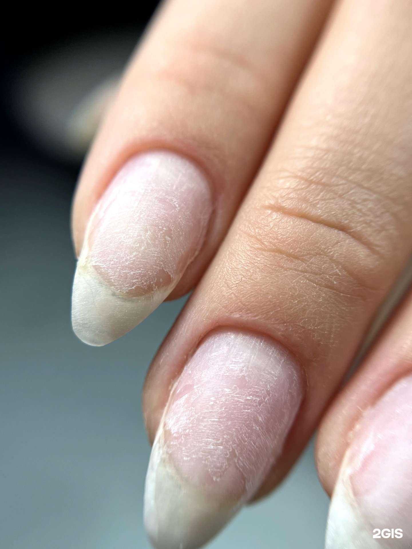 Отзывы на компанию Shefa Nails в г. Краснодар c фото