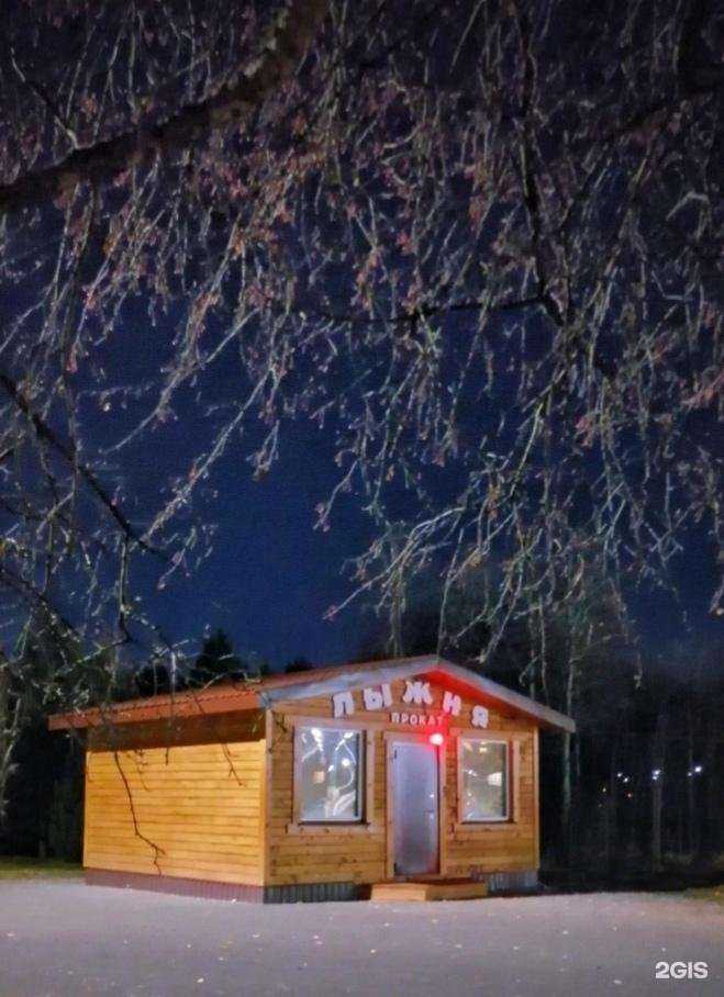 Отзывы на компанию Лыжня в г. Кемерово c фото