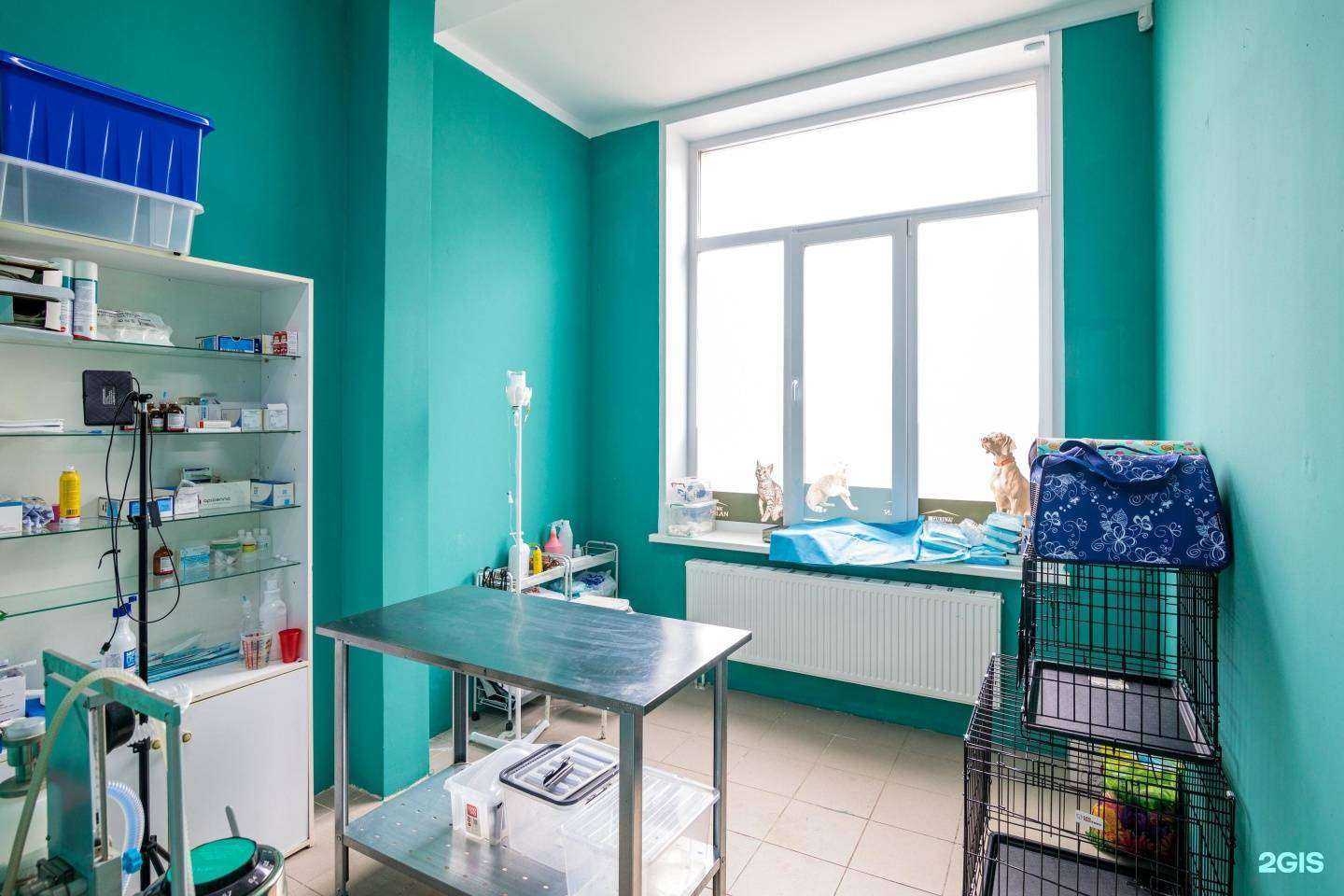 Отзывы на компанию Друзья в Ижевске c фото