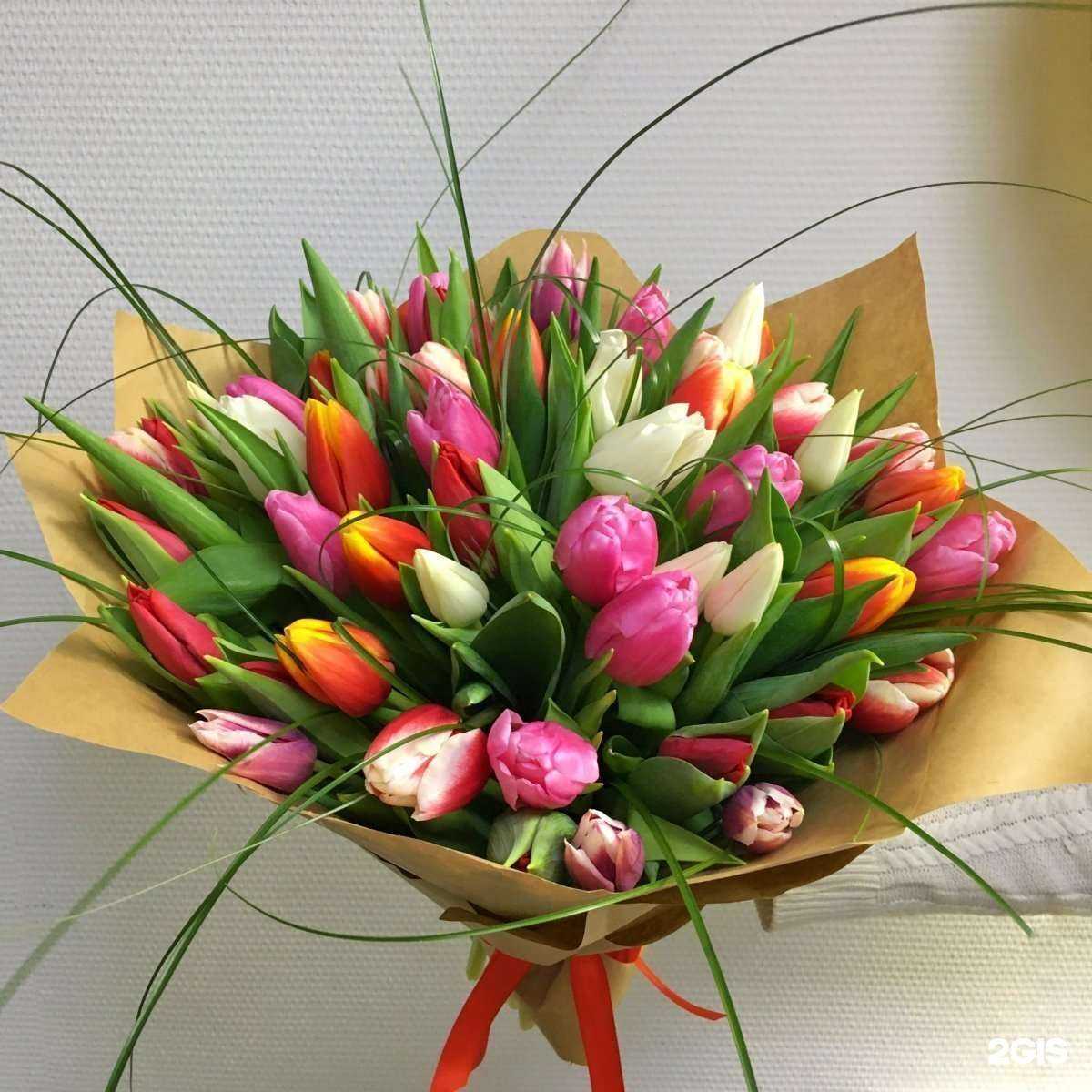 Отзывы на компанию Мальва в г. Омск c фото