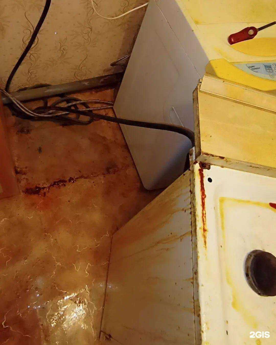 Отзывы на компанию Чистый Дом Plus в г. Большой Камень c фото