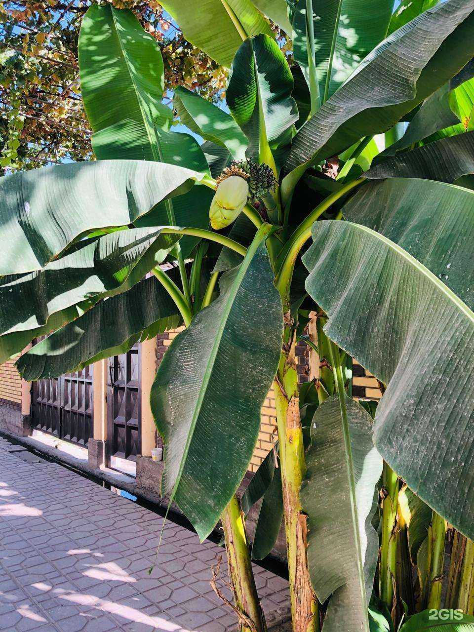 Отзывы на компанию Компания по отогреву автоспецтехники и автомобилей в Якутске c фото