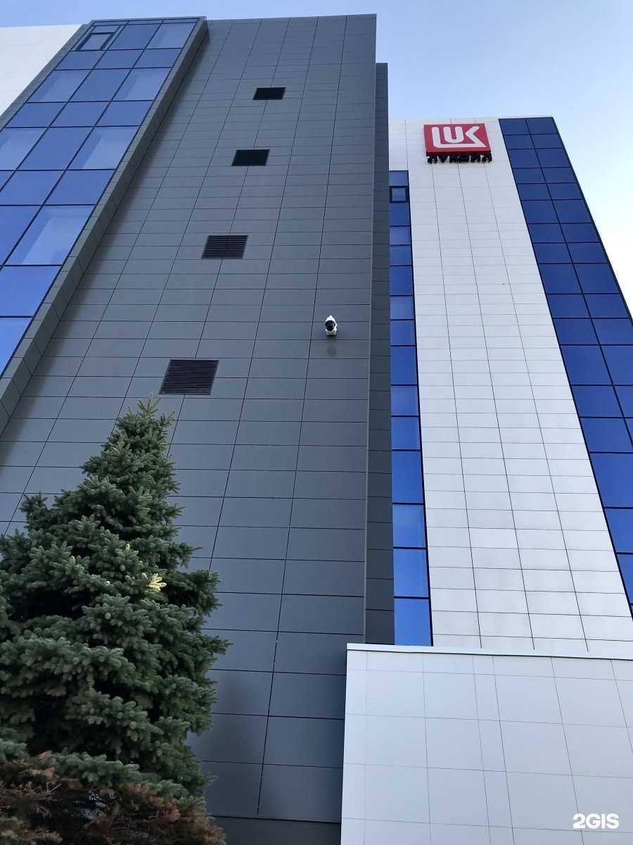 Отзывы на компанию Луком-А-Волгоград в г. Волгоград c фото