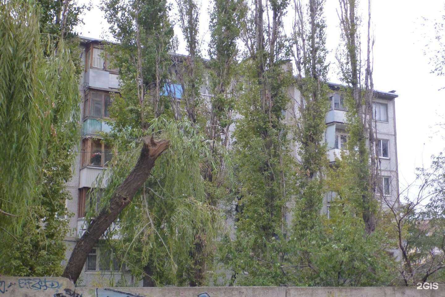 Отзывы на компанию Кабинет мастера-парикмахера в Волгограде c фото - фотография 2 из 2