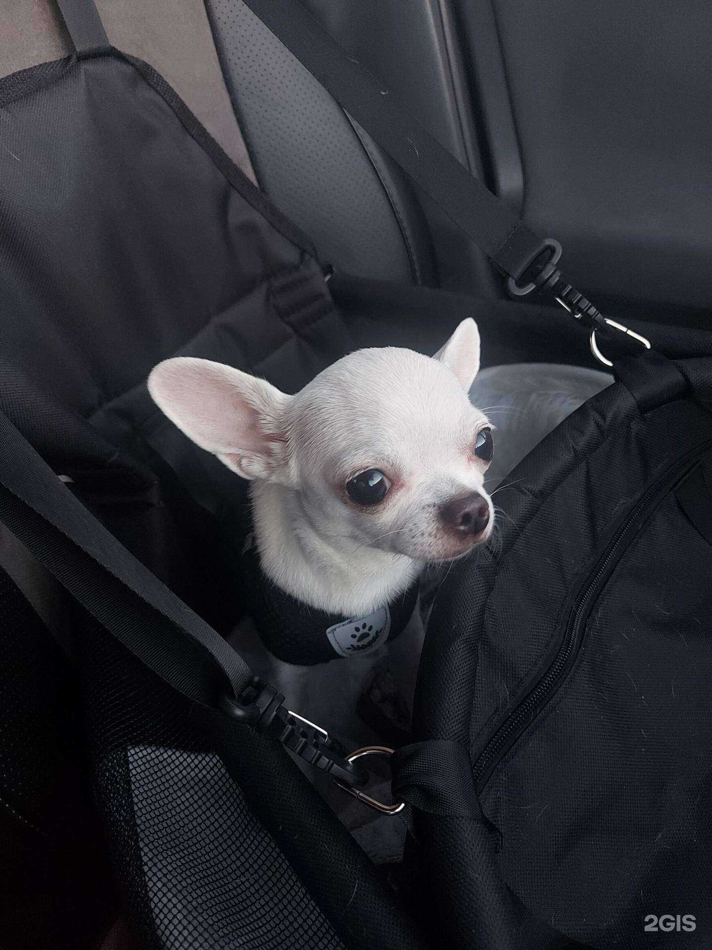 Отзывы на компанию Кебаб Хаус в Хабаровске c фото