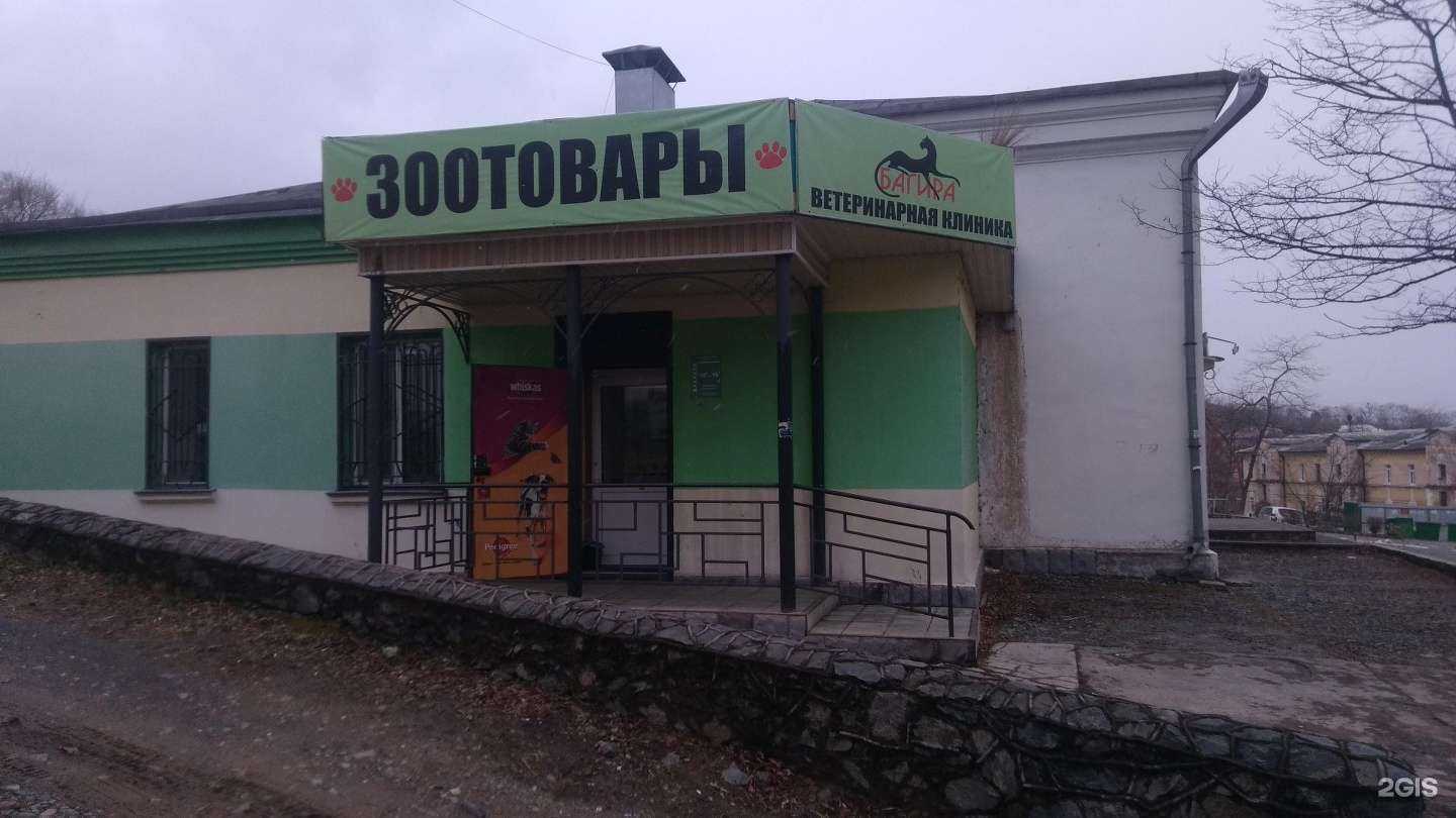 Отзывы на компанию Багира в Артёме c фото