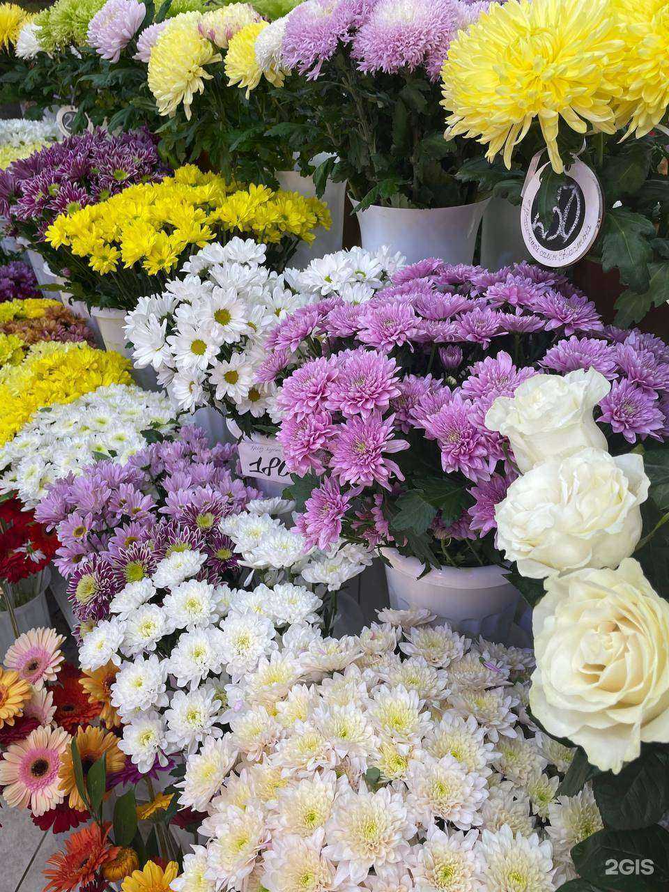 Отзывы на компанию Жасмина в Томске c фото