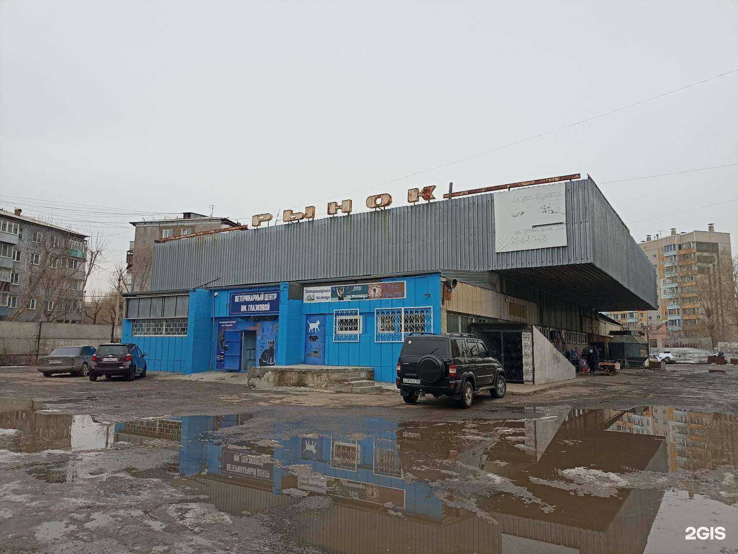 Отзывы на компанию Ветеринарный центр имени Глазковой в Красноярске c фото - фотография 2 из 2