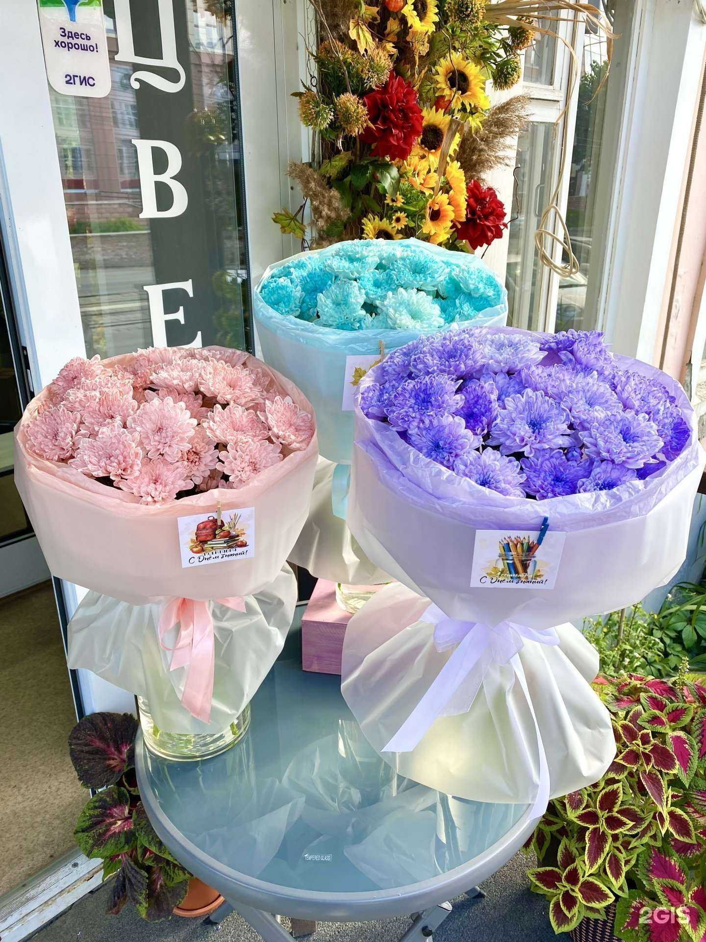 Отзывы на компанию Май в Новосибирске c фото