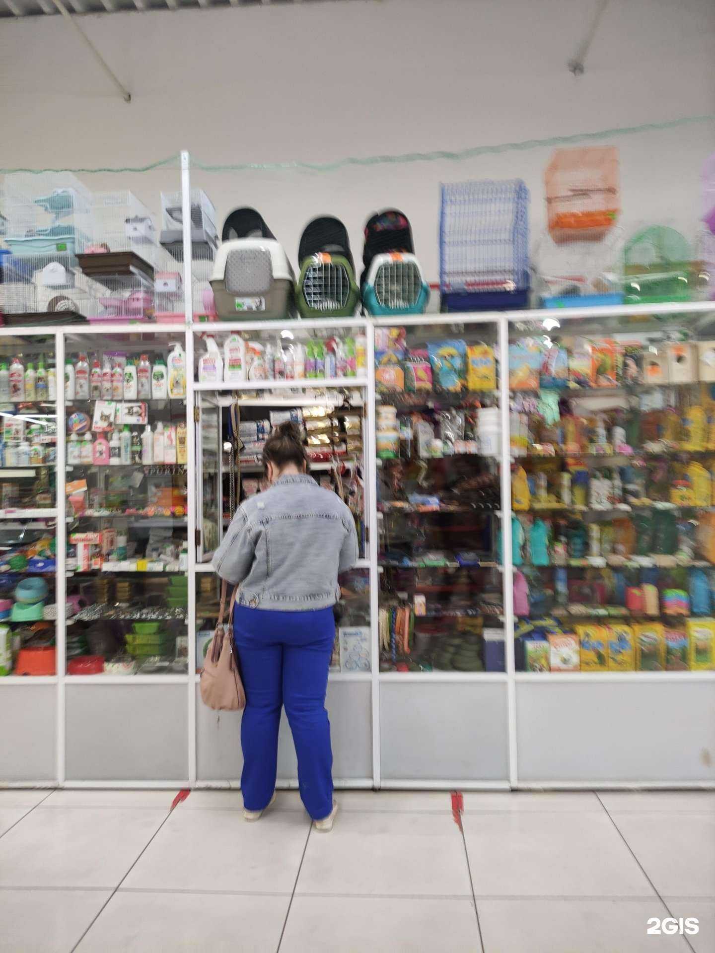 Отзывы на компанию Зоомир в Киселёвске c фото