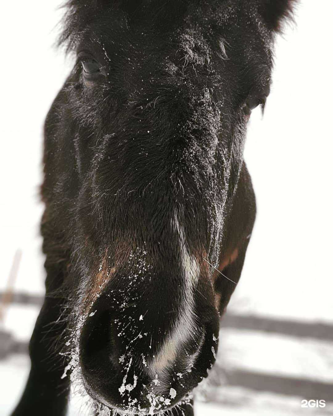 Отзывы на компанию Просто-ква-квашино в Волгограде c фото